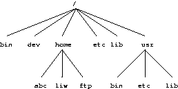 /home ve /usr bağlı.